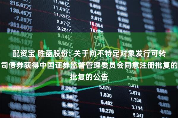 配资宝 胜蓝股份: 关于向不特定对象发行可转换公司债券获得中国证券监督管理委员会同意注册批复的公告