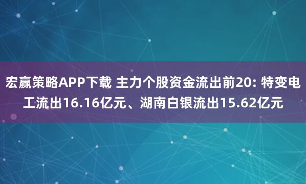 宏赢策略APP下载 主力个股资金流出前20: 特变电工流出16.16亿元、湖南白银流出15.62亿元